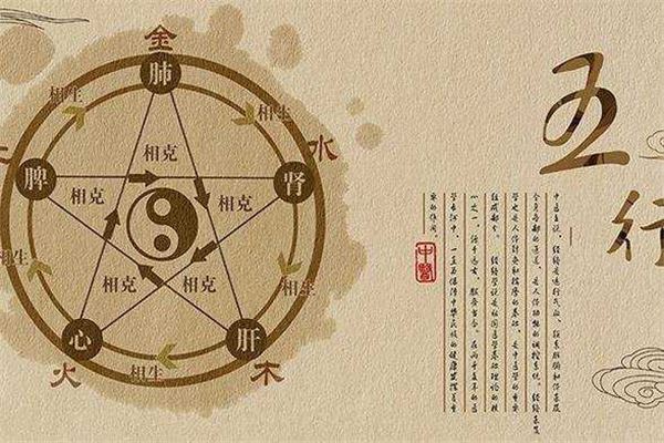 梦见被狗咬