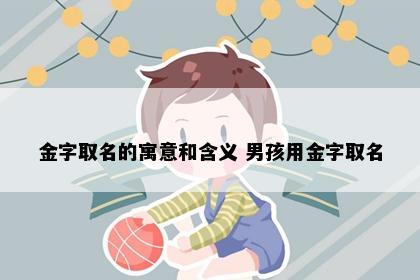 金字取名的寓意和含义 男孩用金字取名