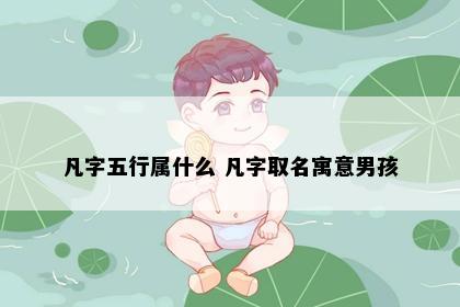 凡字五行属什么 凡字取名寓意男孩