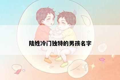 陆姓冷门独特的男孩名字