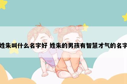 姓朱叫什么名字好 姓朱的男孩有智慧才气的名字