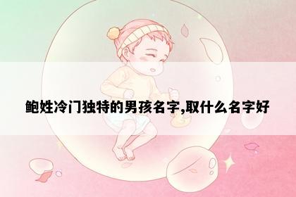 鲍姓冷门独特的男孩名字,取什么名字好