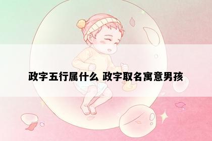 政字五行属什么 政字取名寓意男孩