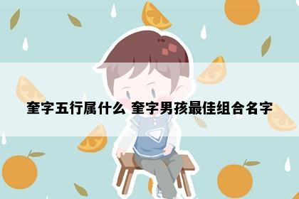 奎字五行属什么 奎字男孩最佳组合名字