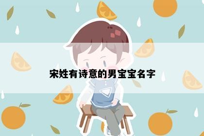宋姓有诗意的男宝宝名字