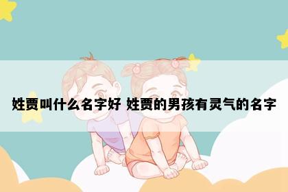 姓贾叫什么名字好 姓贾的男孩有灵气的名字