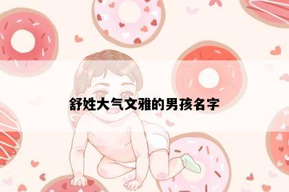 舒姓大气文雅的男孩名字